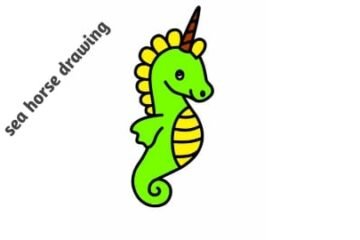 easy sea horse drawing