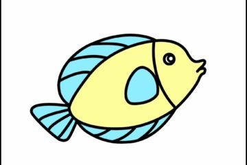 fish drawing