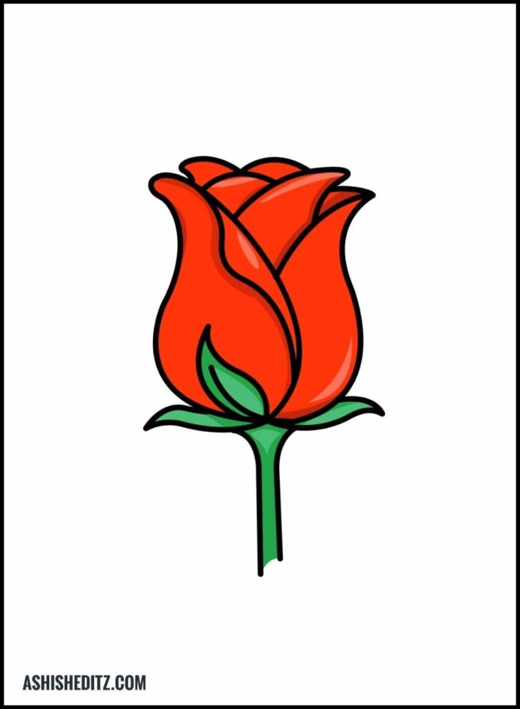 Free: Cartoon Yellow Rose Images Pictures - Simple Rose Drawings - nohat.cc