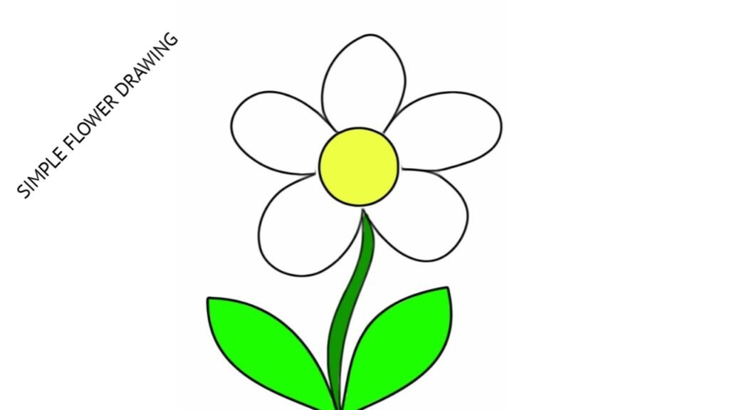Easy flower drawing with colour step by step
