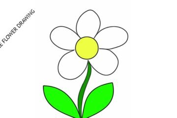 simple flower drawing