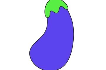 Brinjal drawing