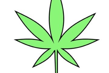 Pot leaf drawing