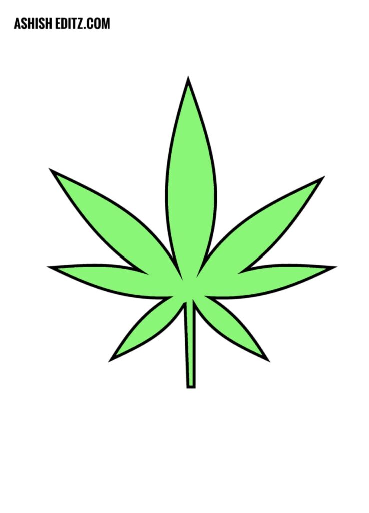 Pot leaf drawing