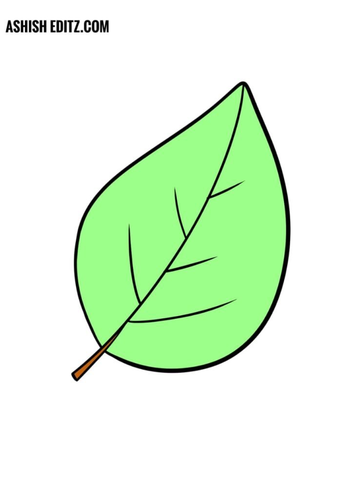 Drawing leaves: How to draw step by step - Doodle a leaf