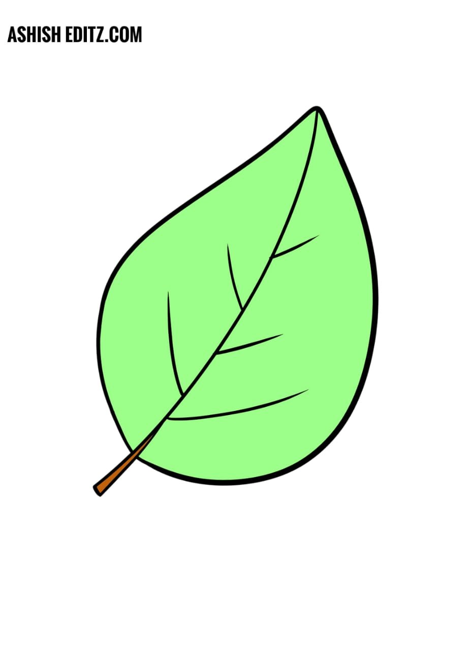 Leaf Drawing - How To Draw A Leaf Step By Step
