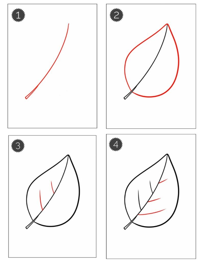 leaf drawing step by step