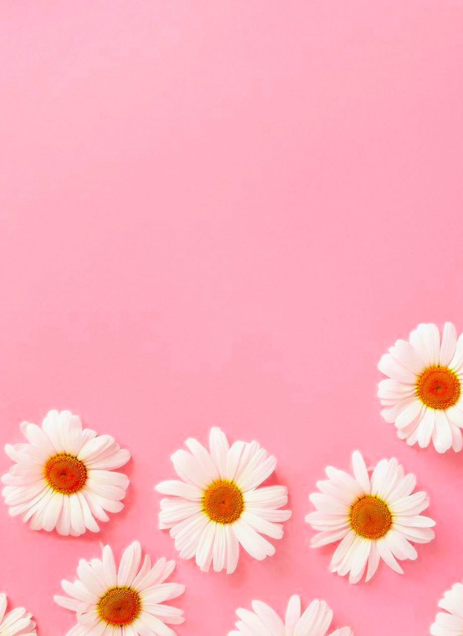 Best Pink Background & Wallpaper Download