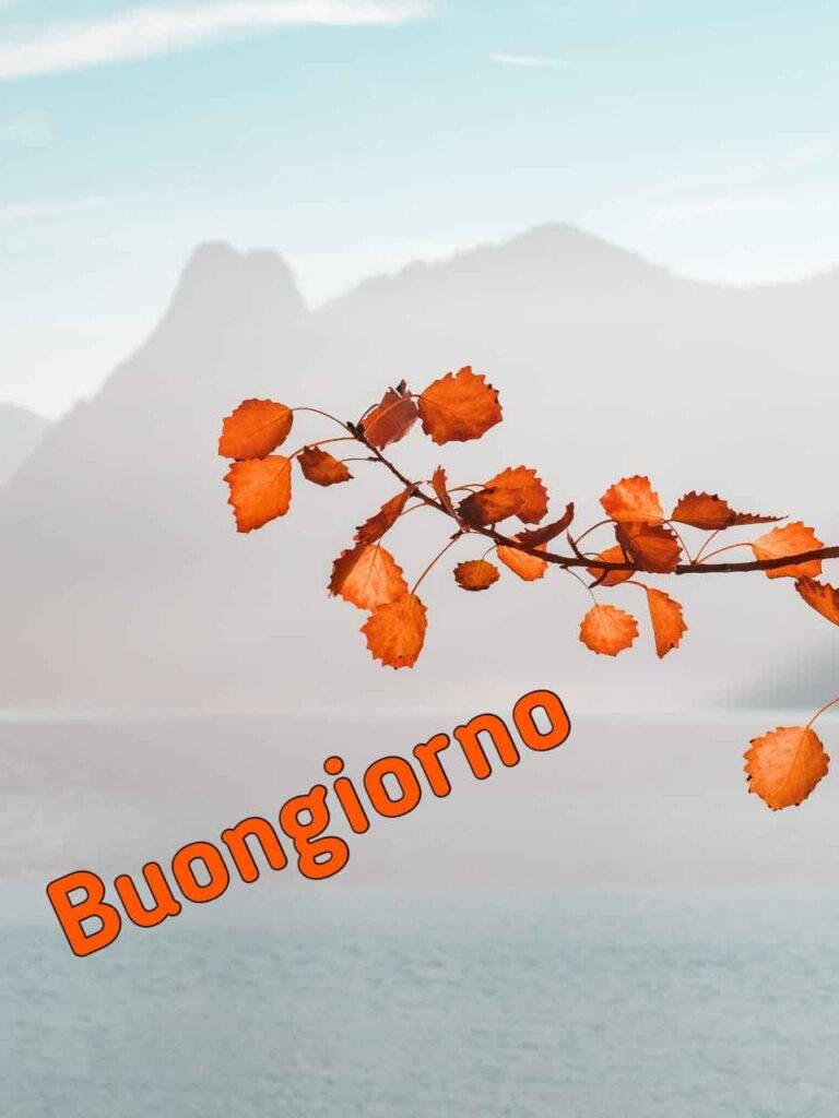 buon sabato buongiorno autunnale