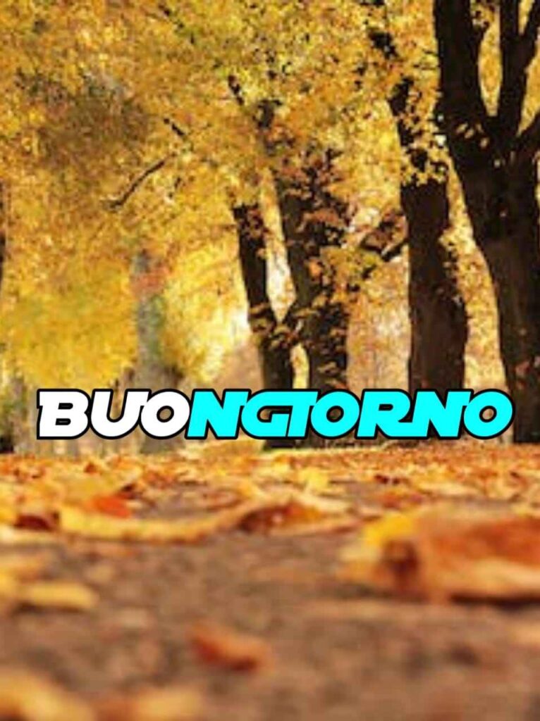 buona domenica buongiorno autunnale