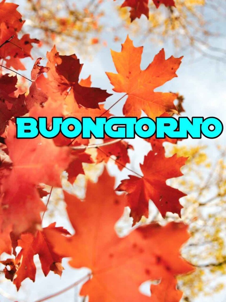 buongiorno autunnale 2022