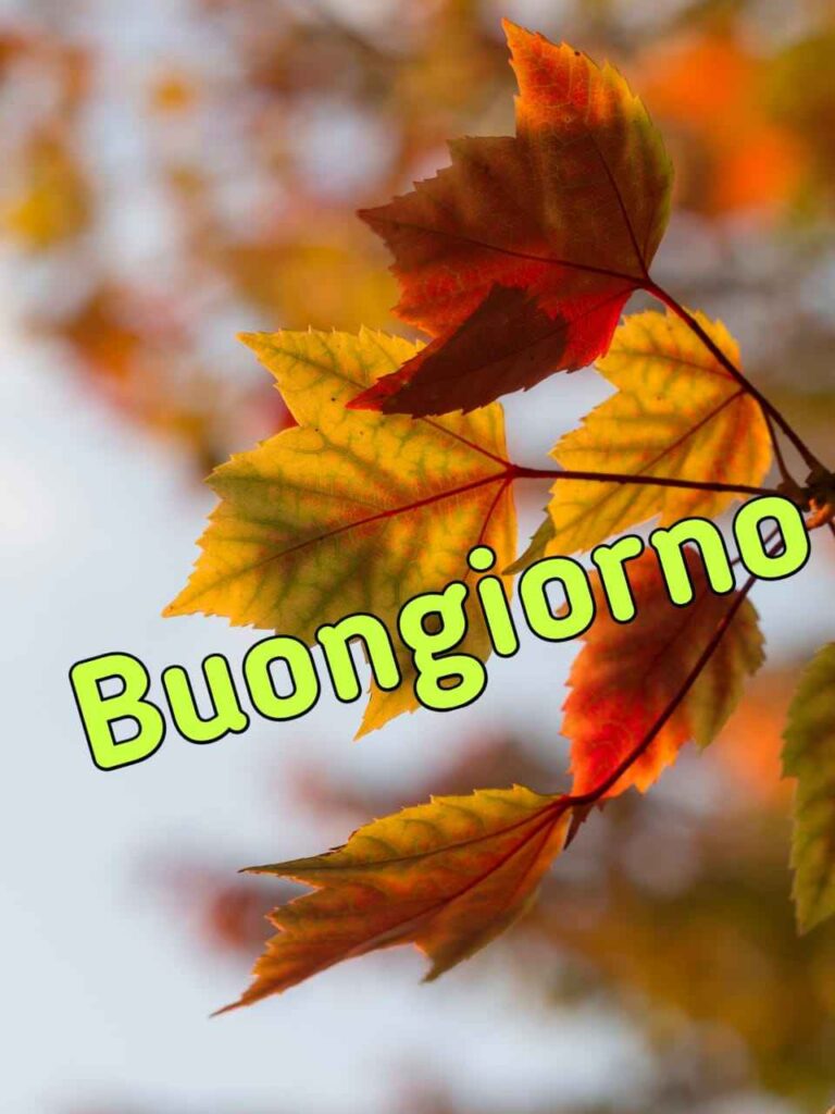 buongiorno autunnale divertente