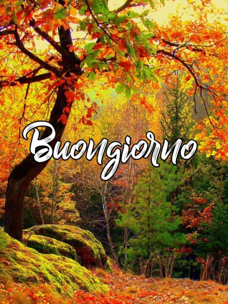 buongiorno autunnale gratis per whatsapp