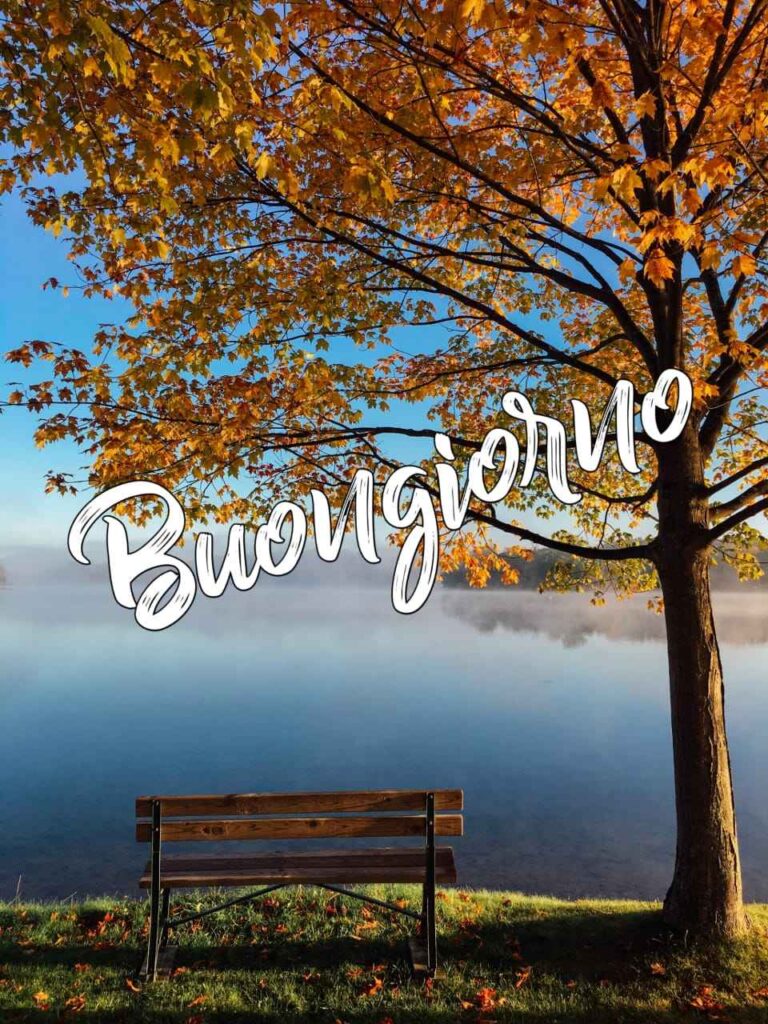 Buongiorno autunno NEW