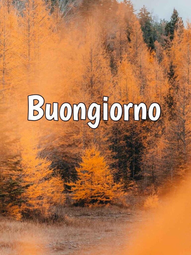 buongiorno autunnale ottobre