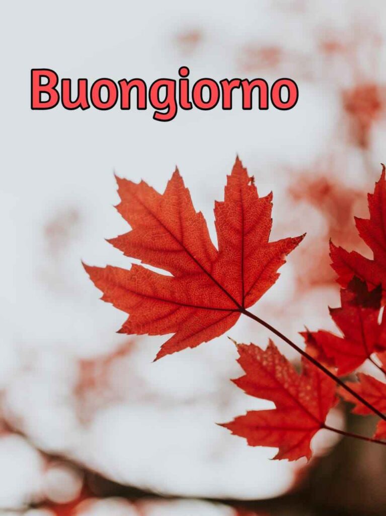 buongiorno autunnale piovoso