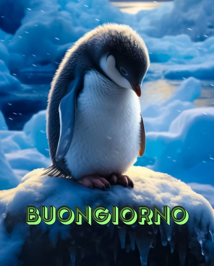 buongiorno invernale gif animate