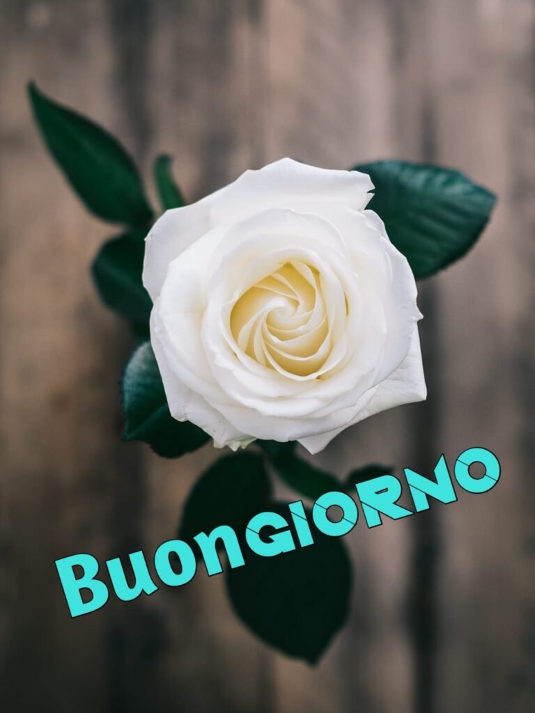 buongiorno nuovissimi divertenti