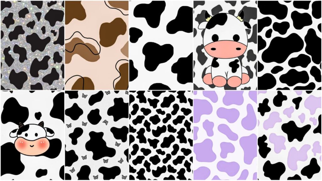 cow print wallpaper