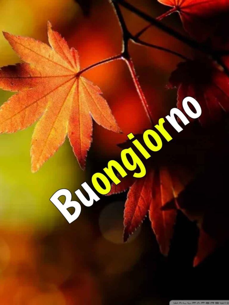 foto buongiorno autunnale