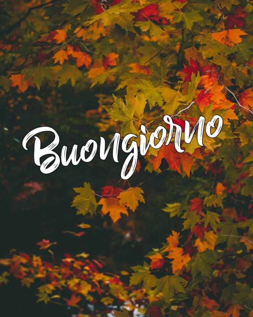 immagine buongiorno autunnale