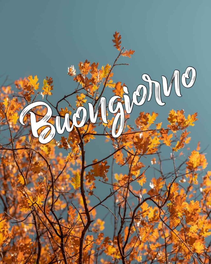 immagini buongiorno autunnale