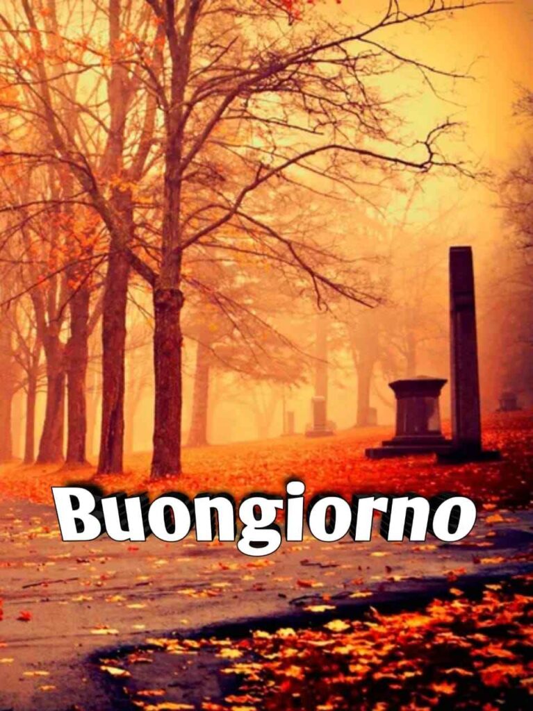 un buongiorno autunnale