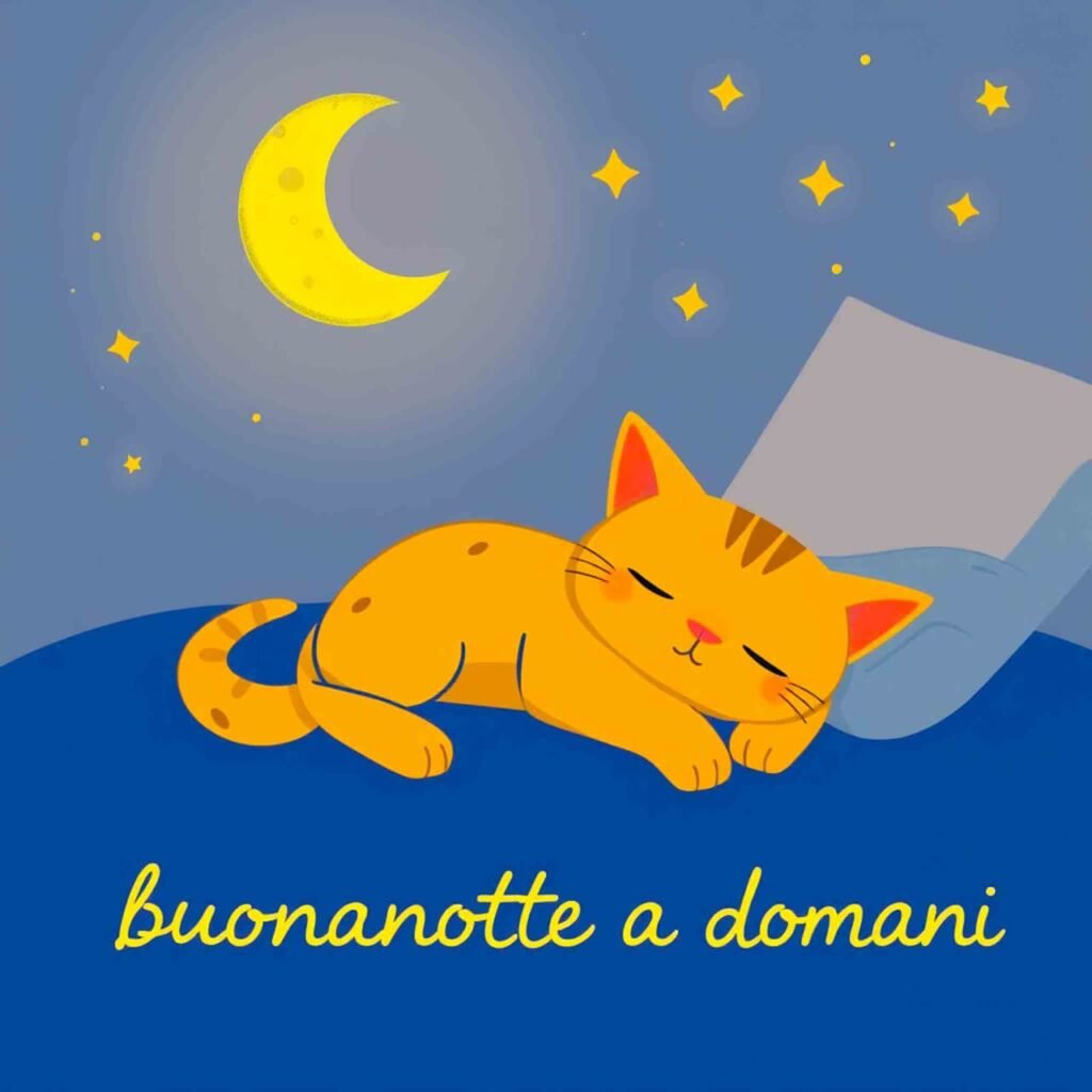 Il gatto sta dormendo nel sonno e ti sta dando un messaggio anche per dormire