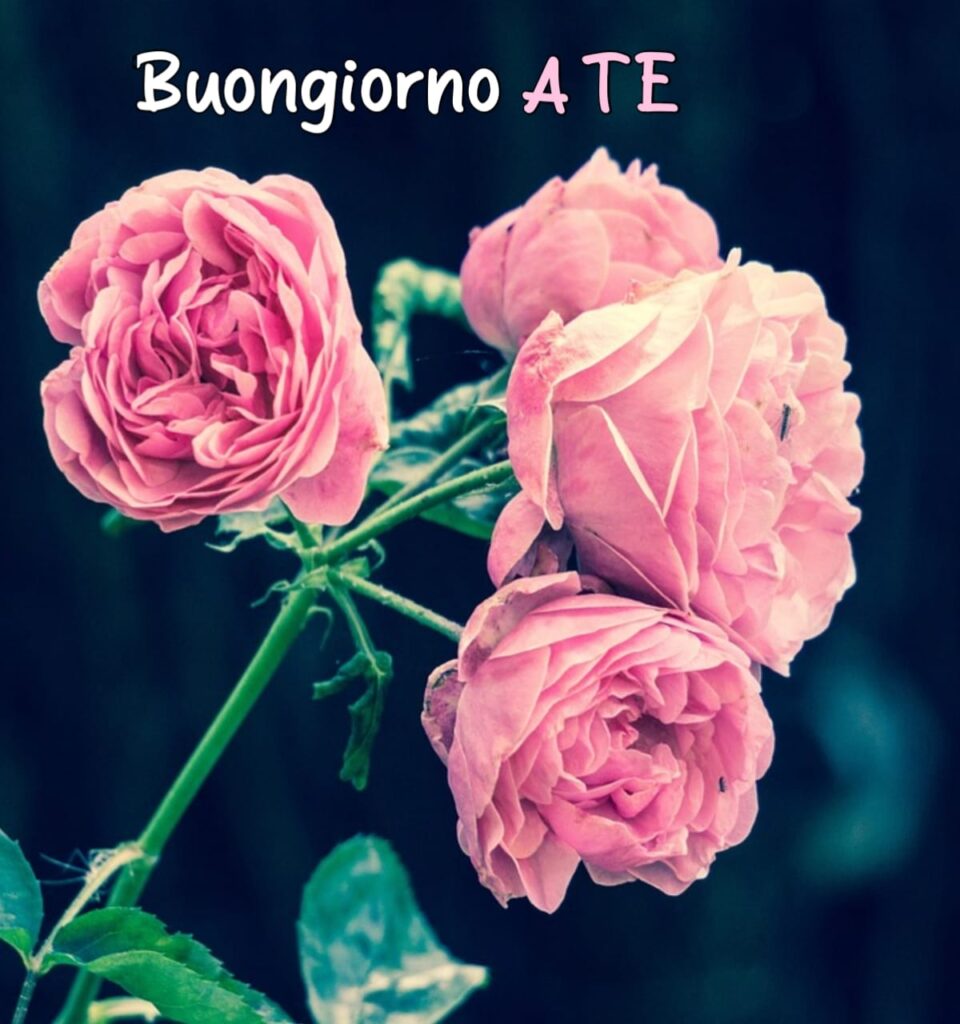 Free buongiorno a tutti voi immagini nuove