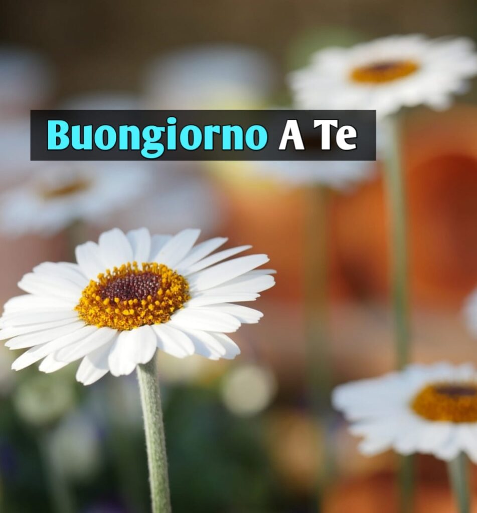 New buongiorno a tutti voi immagini nuove