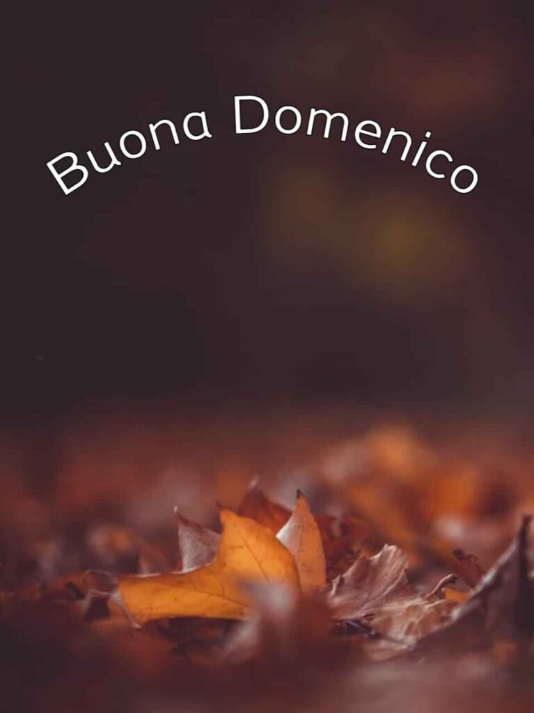 autunno buona domenica autunnale