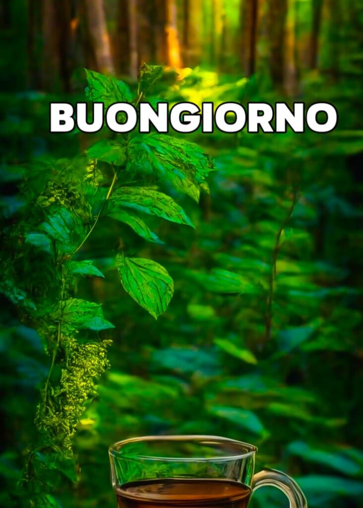 belle immagini del buongiorno