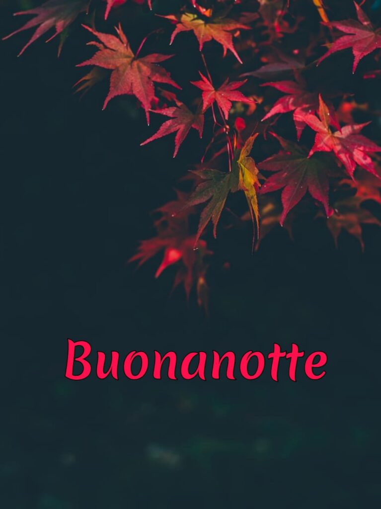 bellissime buonanotte autunnale