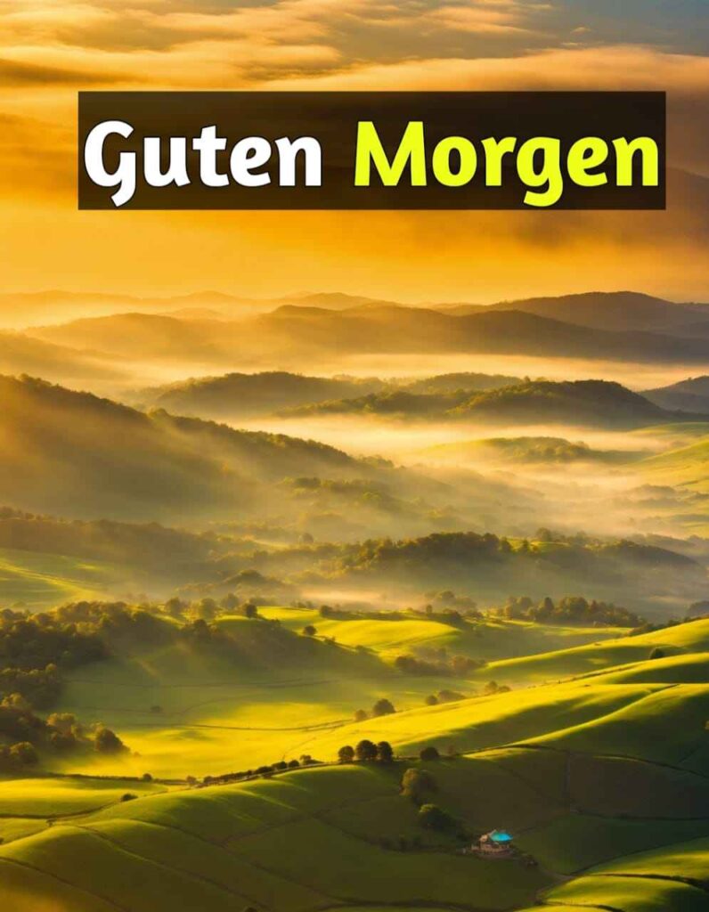 bilder guten morgen kostenlos