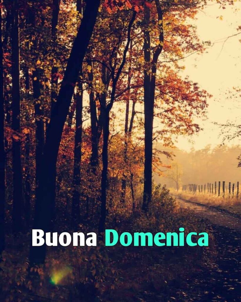 buon giorno buona domenica autunnale