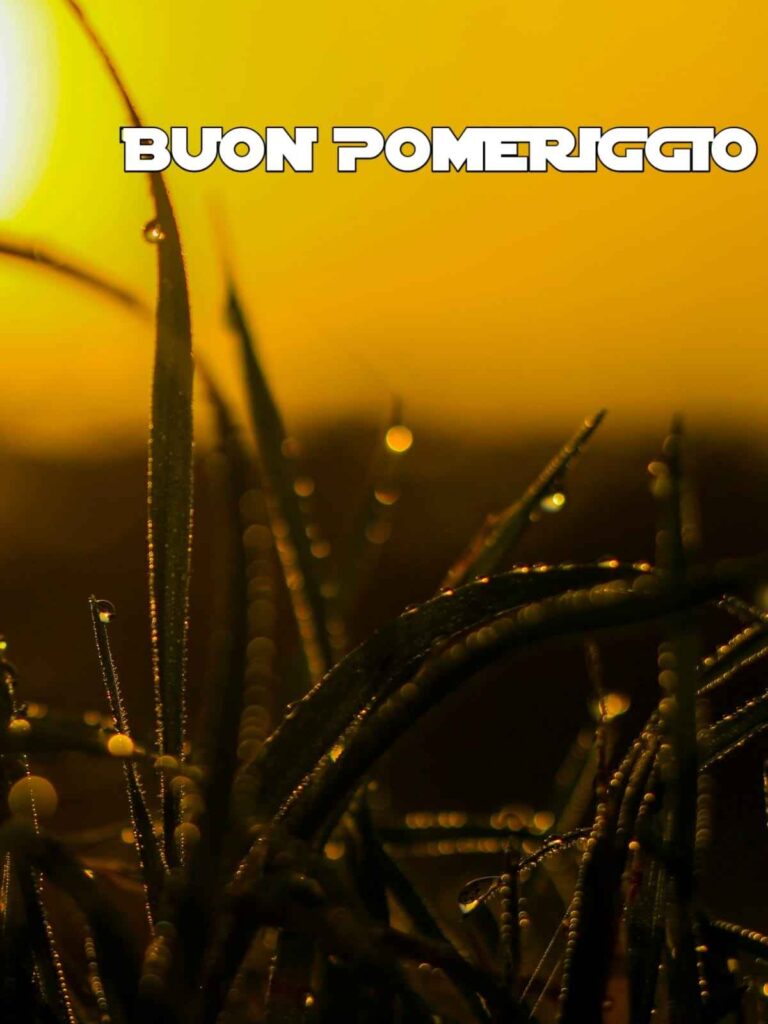 buon pomeriggio immagini bellissime gratis per whatsapp