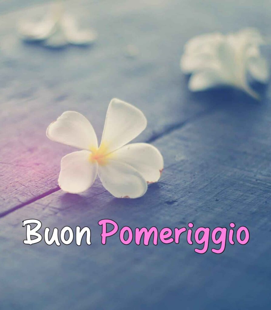 buon pomeriggio immagini bellissime gratis