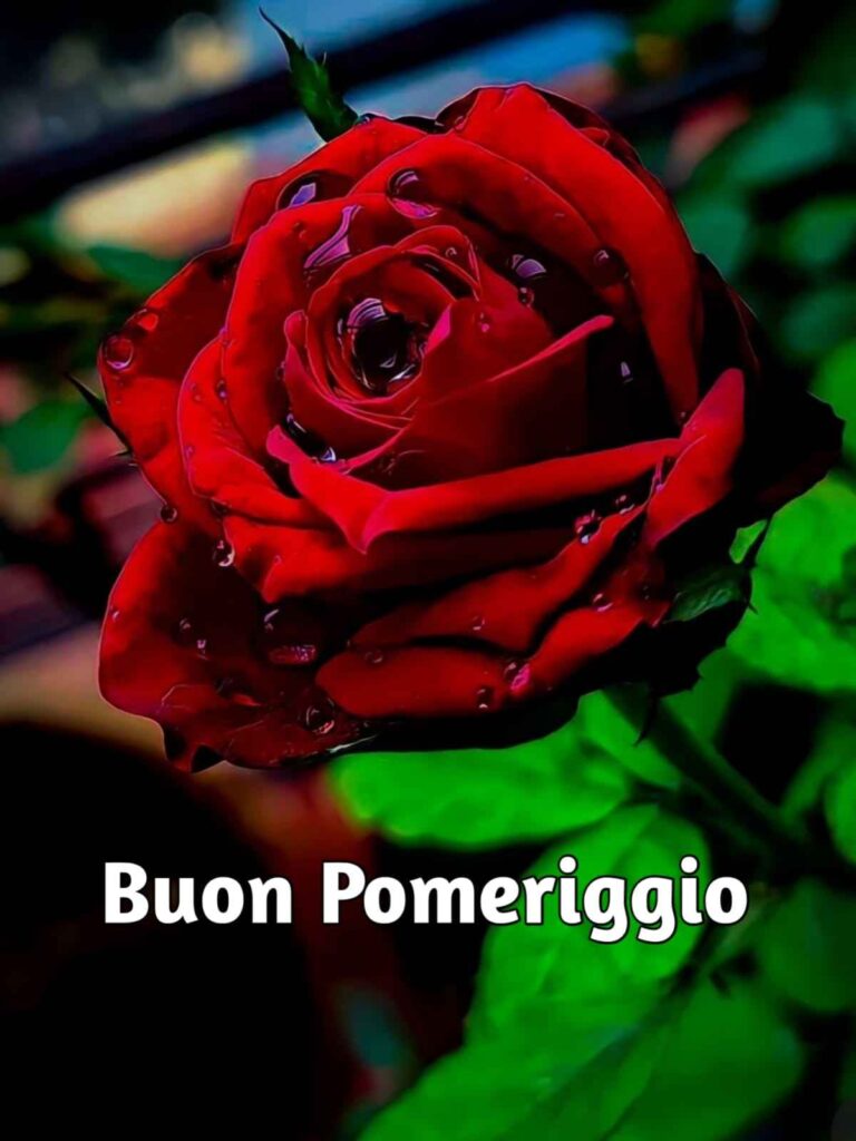 buon pomeriggio immagini gratis