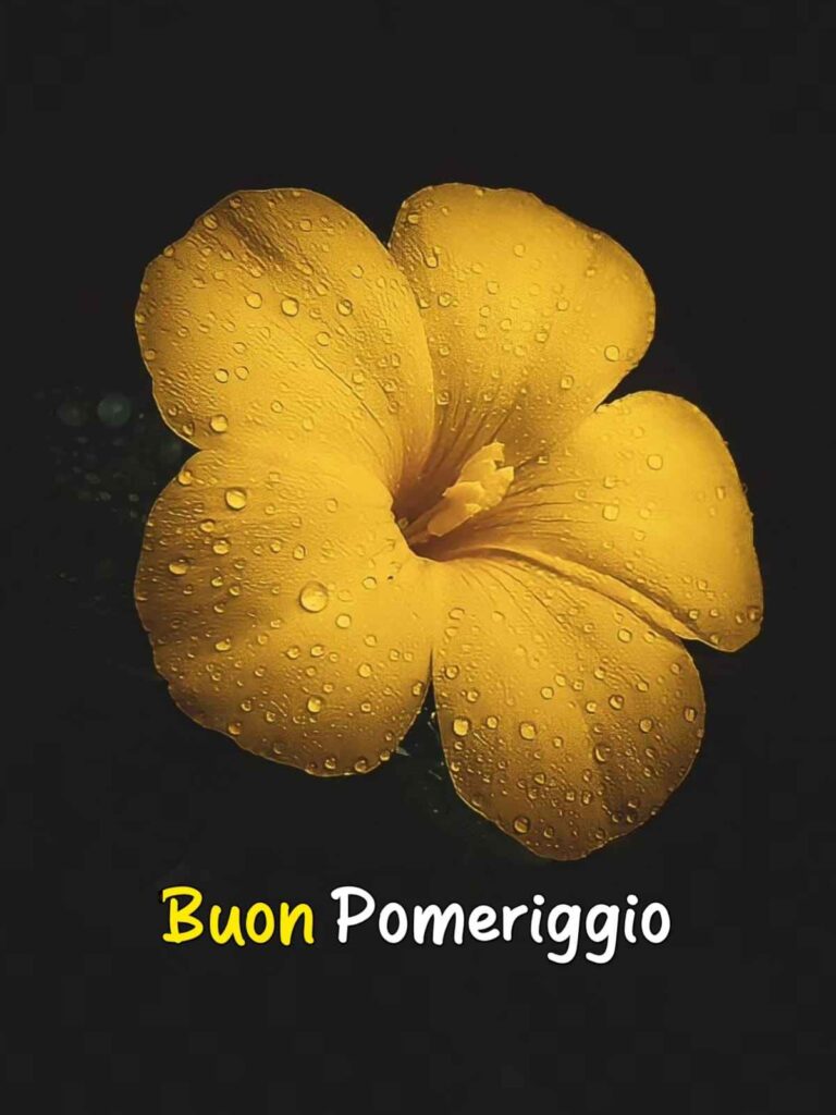 buon pomeriggio immagini nuove gratis