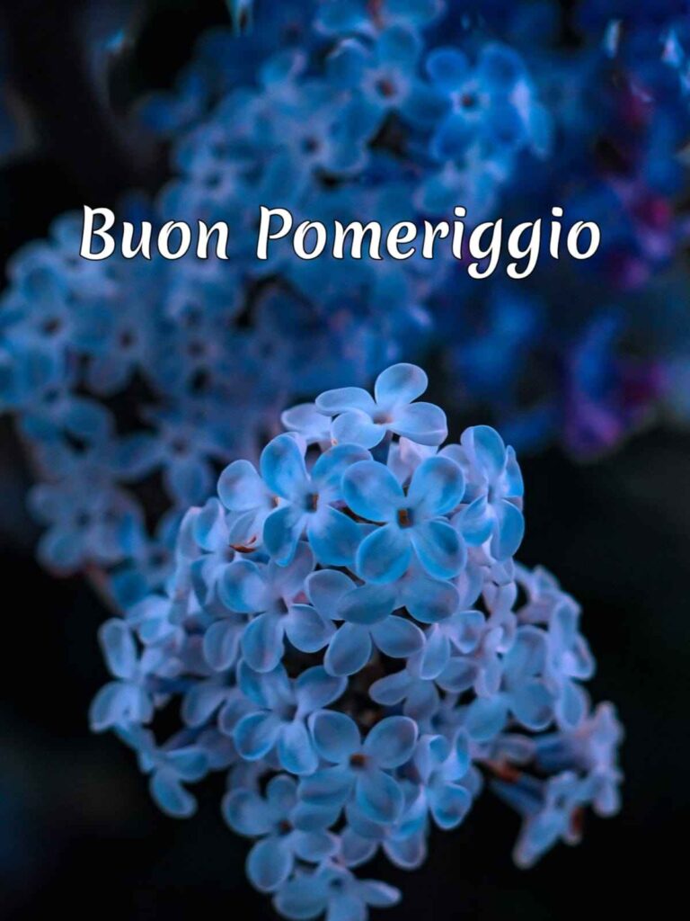 buon pomeriggio immagini