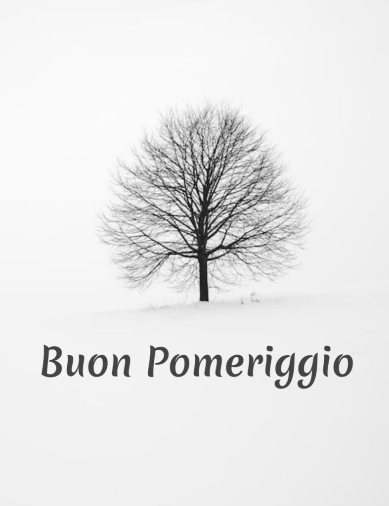 buon pomeriggio invernale divertente