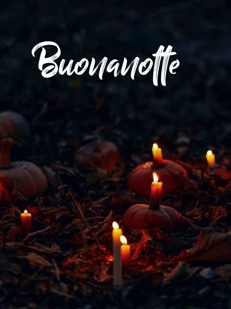 buonanotte autunnale 2024