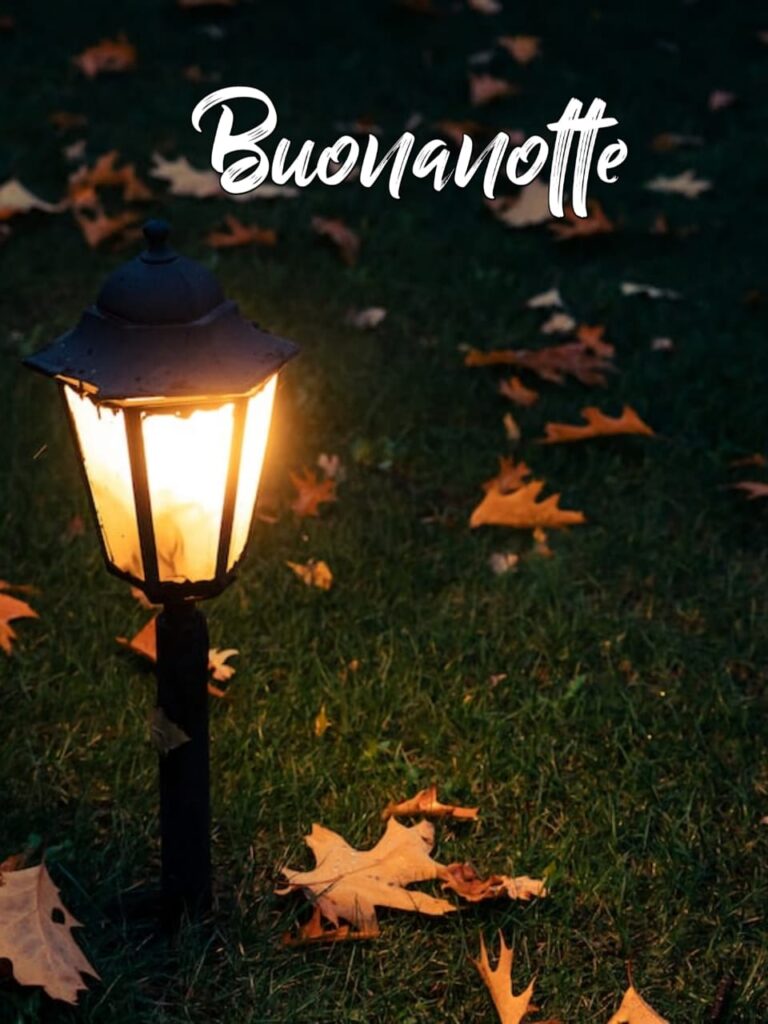 buonanotte autunnale piovosa