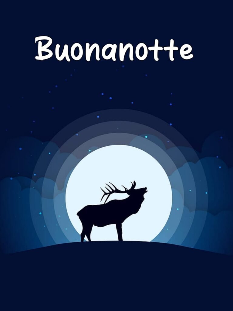 buonanotte divertente frasi simpatiche