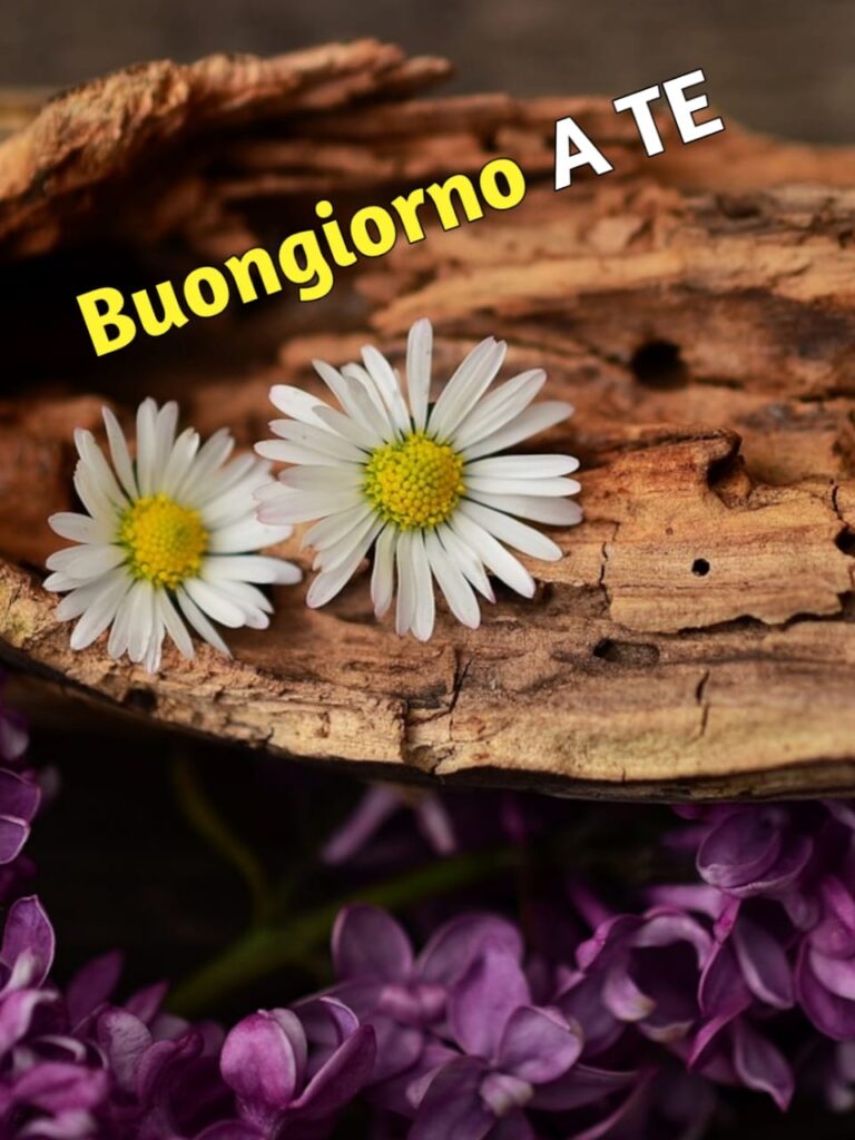 buongiorno a te immagini divertenti