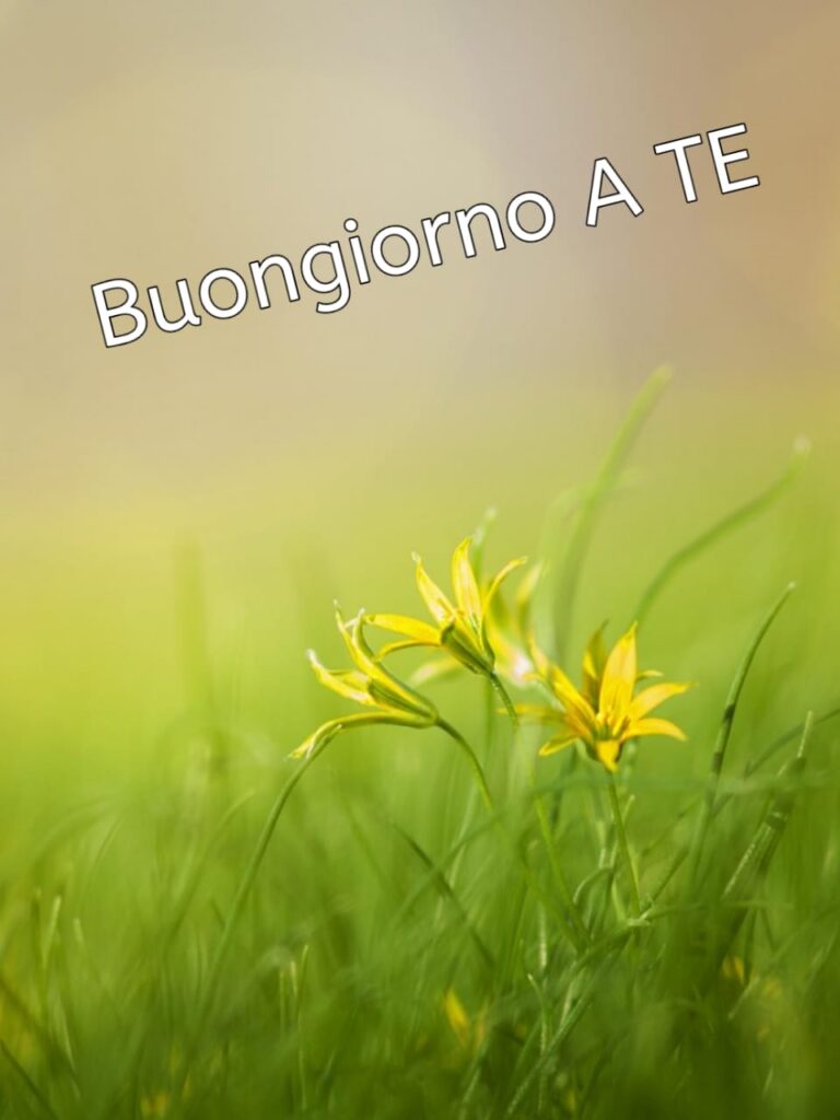 buongiorno a te immagini nuove