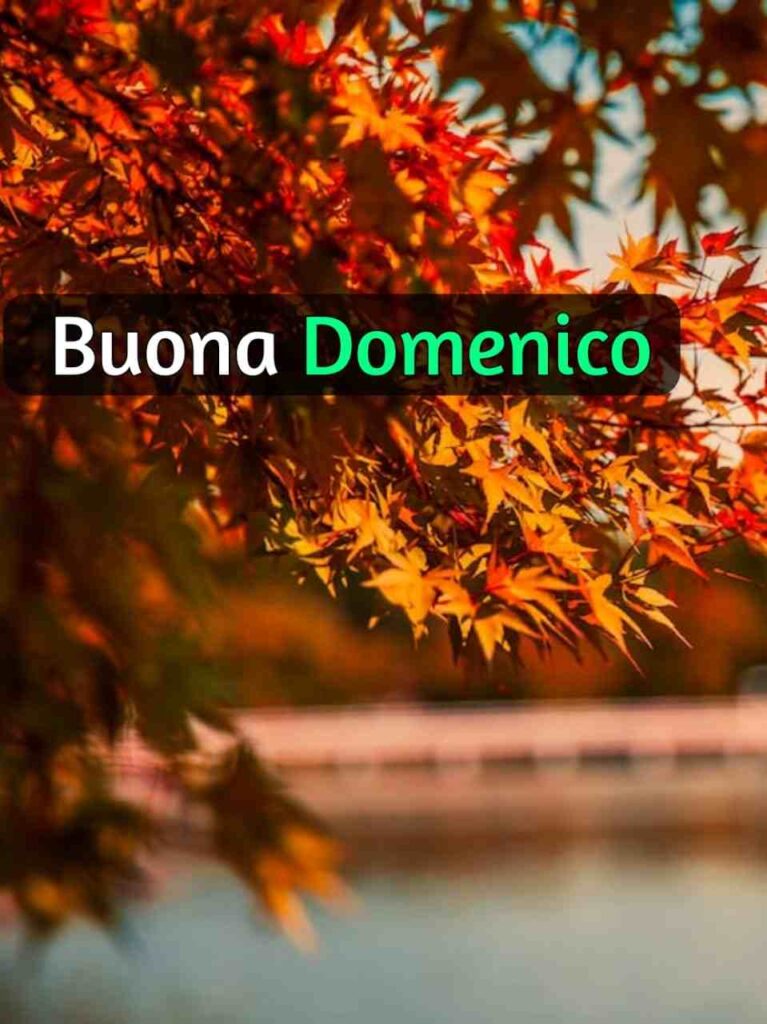 buongiorno buona domenica autunnale 2023