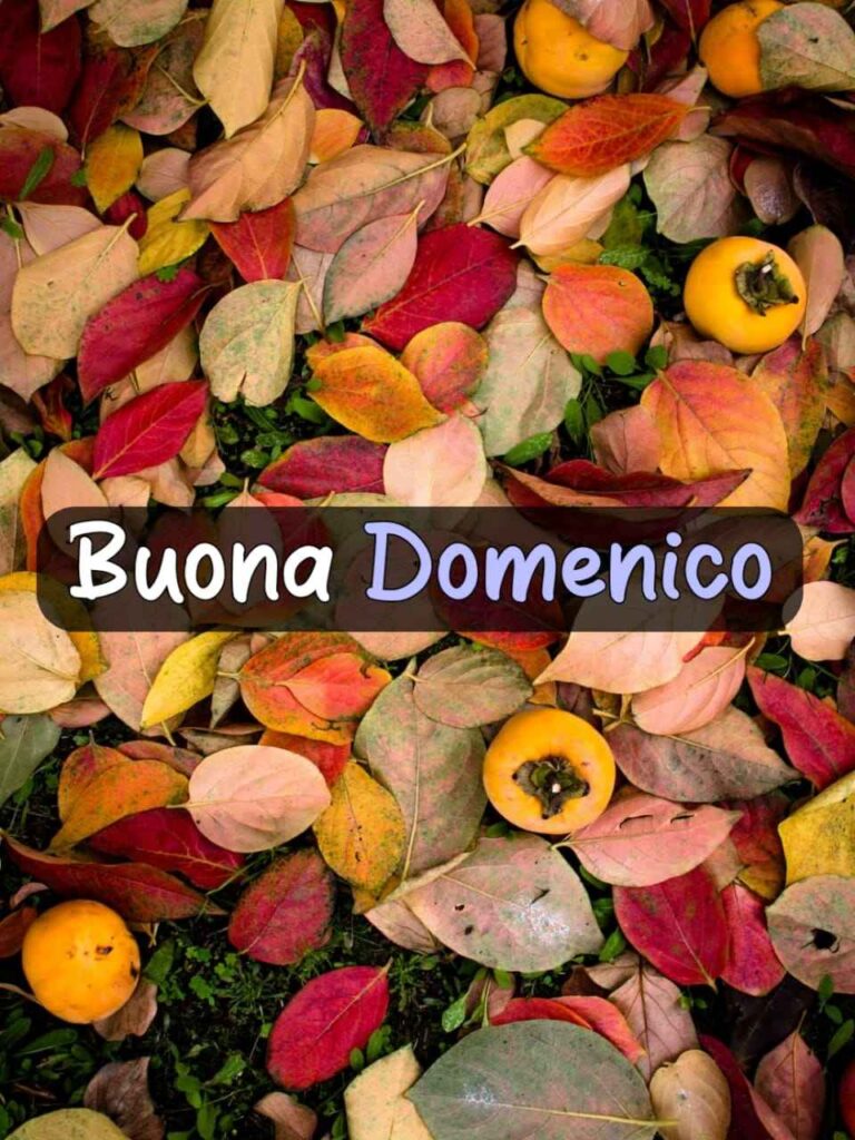 buongiorno buona domenica autunnale immagini nuove 2021 gratis per whatsapp