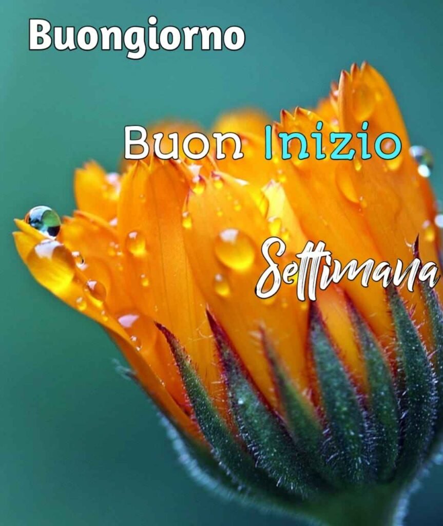 buongiorno e buon inizio settimana con la pioggia