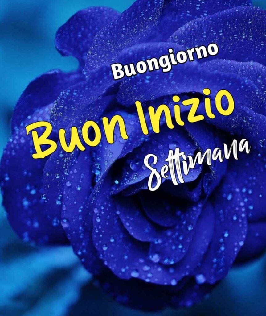 buongiorno e buon inizio settimana immagini nuove